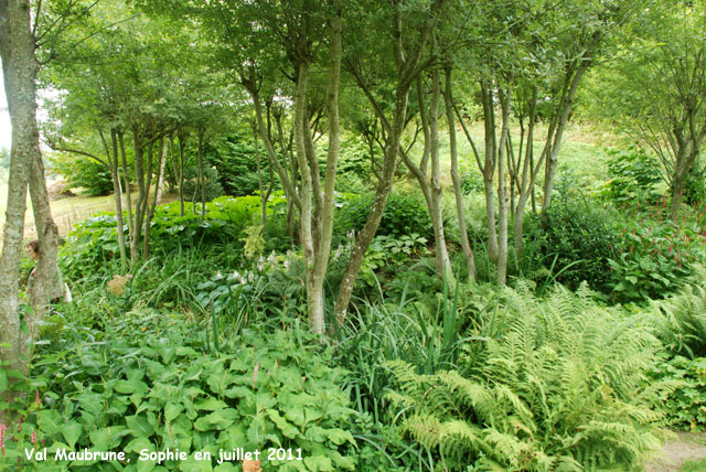 Val Maubrune: le vallon